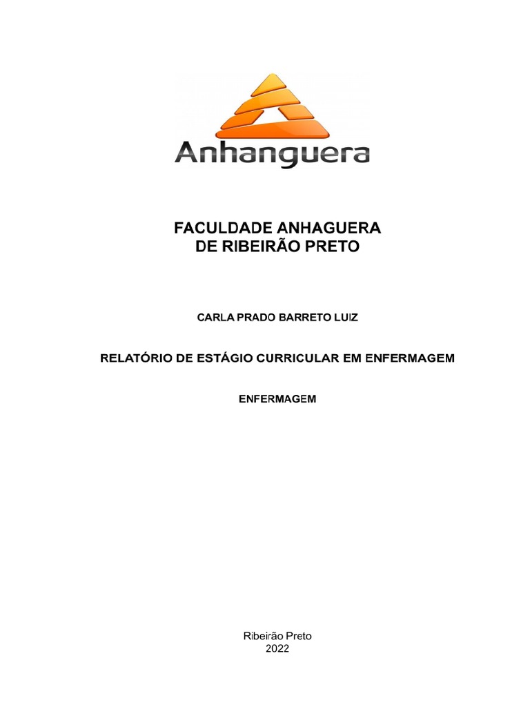Relatório de Estágio em Enfermagem na Santa Casa | PDF | Enfermagem