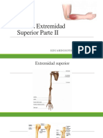 CLASES 7 AnatomÃ A Extremidad Superior Parte 2