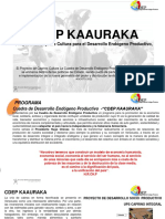 Presentación CDEP KAAURAKA