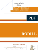 Rodilla y Tobillo