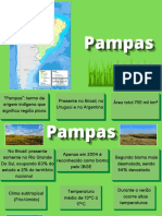 Pampas 1