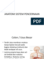 Anatomi Sistem Pencernaan S1-3