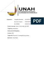 Reporte 2 CROMATOGRAFIA DE PROTEINAS