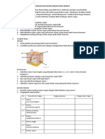 LKPD Organ Dan Sistem Organ