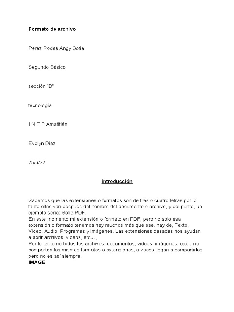 Formato de Archivo 1 PDF Ingeniería Informática Edad de información