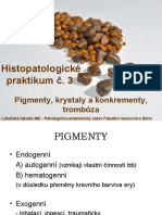 Praktika03 - Pigmenty A Tromboza Text 1