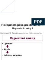 Praktika01 - Regresivni Zmeny I Text