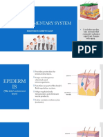 2 - Integumentary System