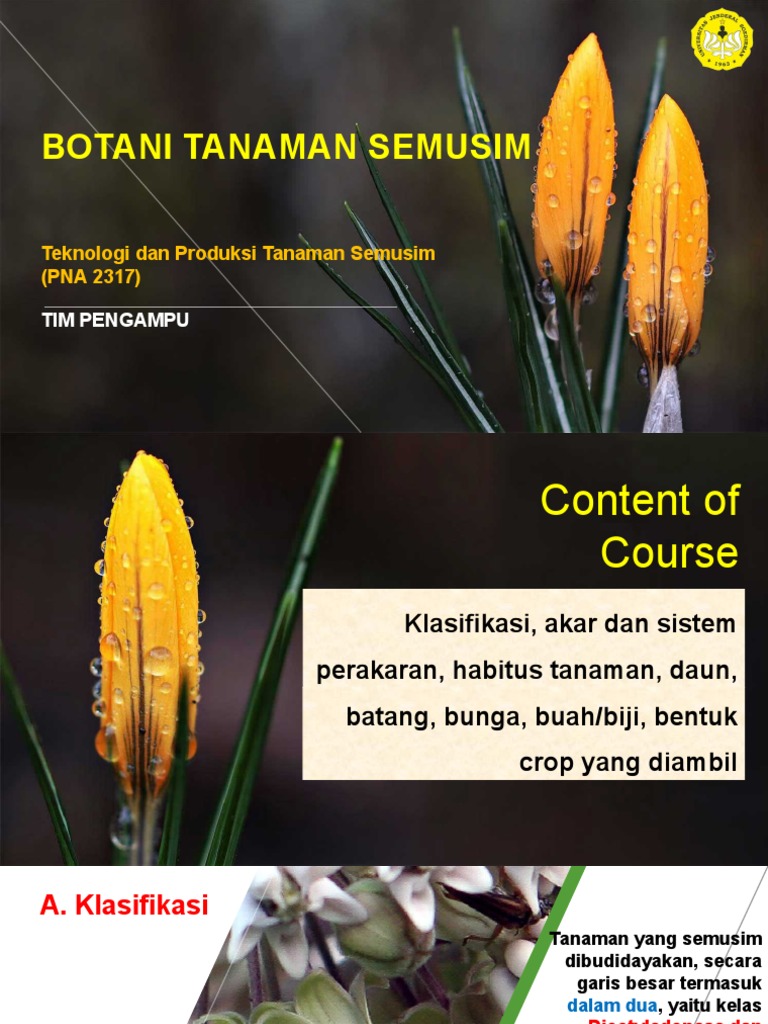 Tanaman Semusim: Klasifikasi dan Budidaya | PDF