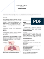 Anatomía Último