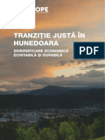 4c3118e3 Tranziție Justă În Hunedoara Diversificare Economică Echitabilă Și Durabilă