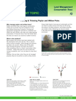 Pruning & Thinning Poplar and Willow Poles