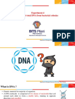 DNA Lab - Slides