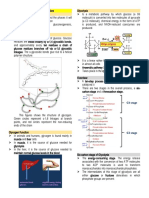 Carbohydrate Metabolism