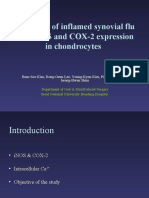 The Effects of Inflamed Synovial Flu Id On iNOS and COX-2 Expression in Chondrocytes