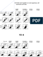 Apoptotic Effects of CKD-602 and Cisplatin On Oral