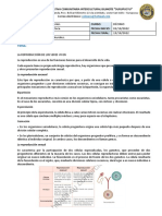 Semana 5 y 6 - CCNN - Décimo