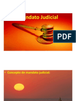 Mandato Judicial. DNII 2021