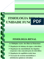 Fisiologia Renal em