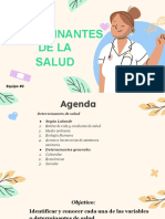 1determinantes de La Salud