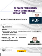 Clase 06 Plan de Rehabilitacion y Est6imulacion Neuropsicologica en Atencion y Tdah