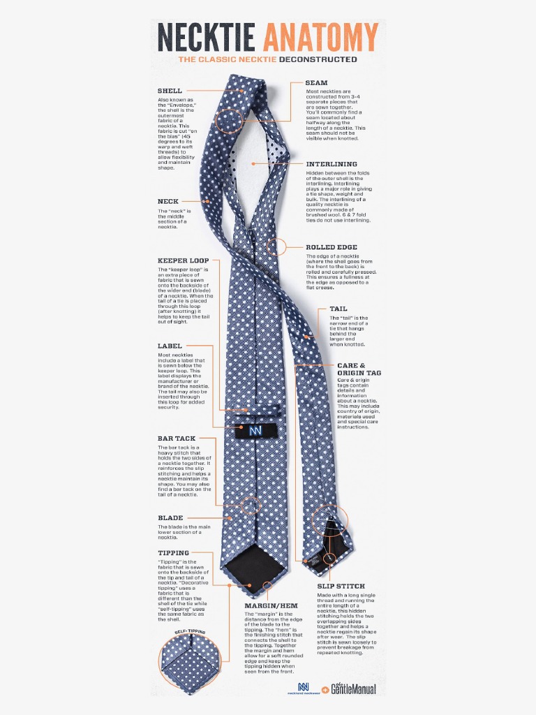 Necktie Anatomy | PDF