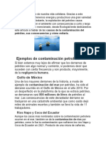 Causas y consecuencias de la contaminación petrolera