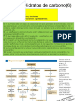 Glúcidos: monosacáridos, enlaces O-glucosídicos y polisacáridos