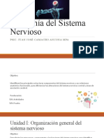 Anatomía Del Sistema Nervioso - Recursamiento - Pt 1