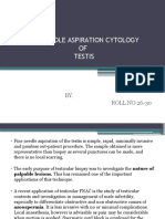 Testicular Fine Needle Aspiration