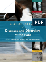 Color Atlas of Diseases and Disorders of The Foal (VetBooks - Ir)