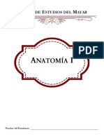 Anatomía