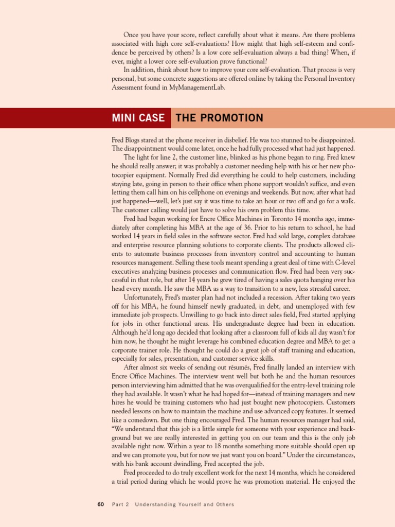 Case StudyThe Promotion PDF Sales Business