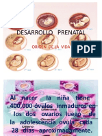 2 - Desarrollo Prenatal