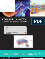 Membrana Plasmática (Parte 1) 8A