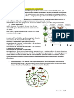 Ciências 8º 1º Teste 2º Período: Página