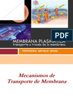 Mecanismos de Transporte de Membrana