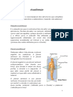 Anatomia dos ossos do crânio