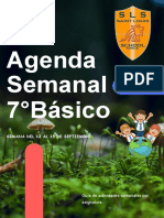 Agenda Semanal 7°básico: Semana Del 12 Al 15 de Septiembre