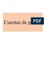 Cuentas de pasivo concisas para