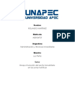 Ensayo Del Sector Inmobiliario - ROLANDO MARTINEZ