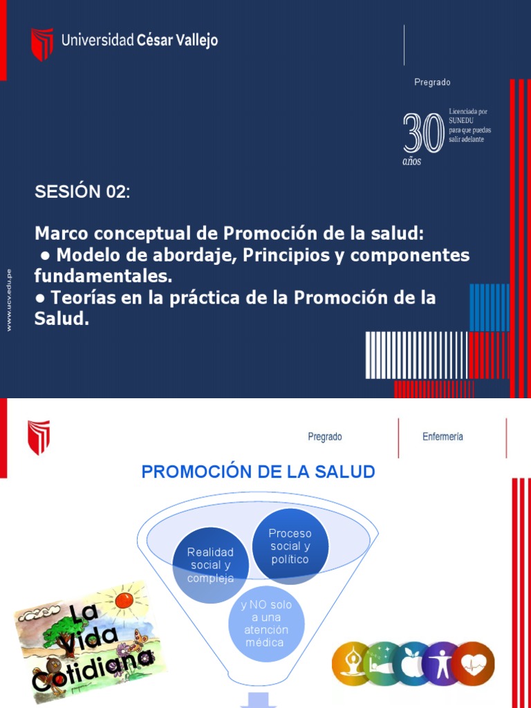 Marco Conceptual en Promoción de Salud | PDF | Promoción de la salud ...