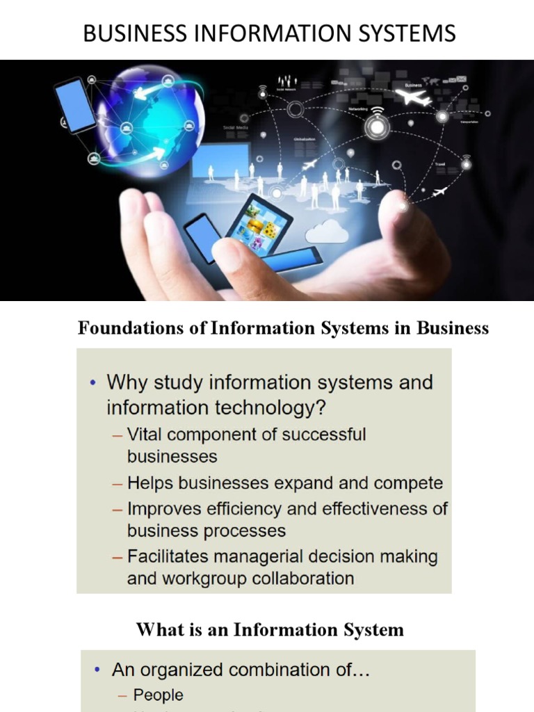 Business Information Systems PDF Computer Hardware Computer Data