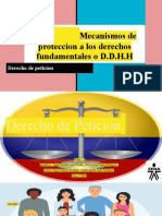 Mecanismos de Proteccion A Los Derechos Fundamentales o D.D.H.H