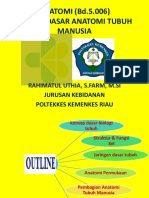 Konsep Dasar Anatomi Manusia