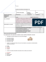 Evaluacion Sumativa de Microorganismo y Mas 7mo B Oa4,5,6 Jueves Octubre 2022