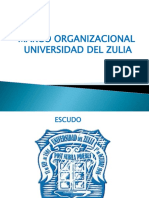 Estructura Organizativa LUZ PDF