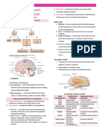 Brain and Psychotropic Drugs Review