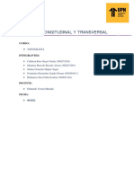 Informe Perfil Longitudinal y Perfil Transversal