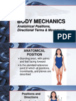 Anatomical Positions Body Movements